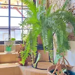 Гостевой дом Sunlight House