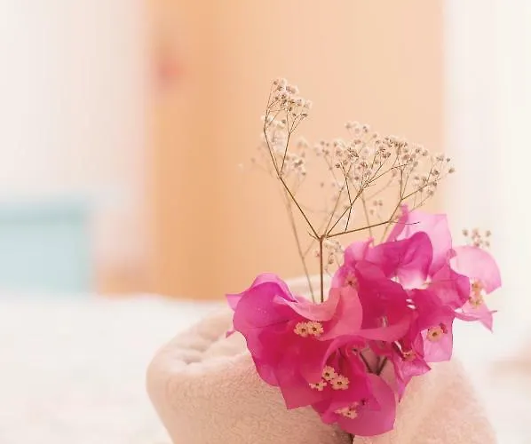 Pensjonat Sunlight House *