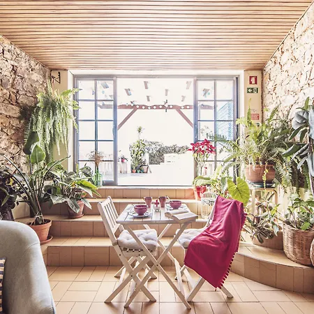 Sunlight House Pensión