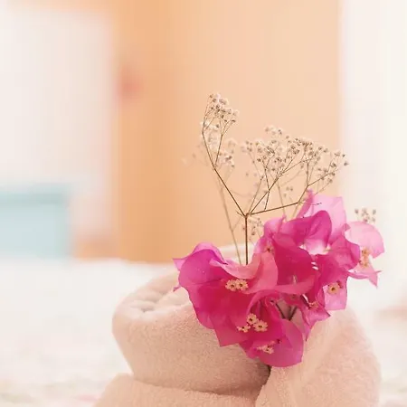 Pensión Sunlight House *