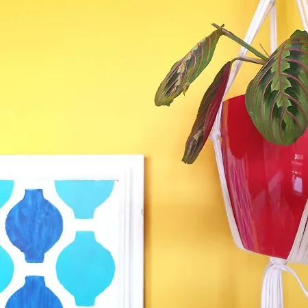 Sunlight House Pensión *