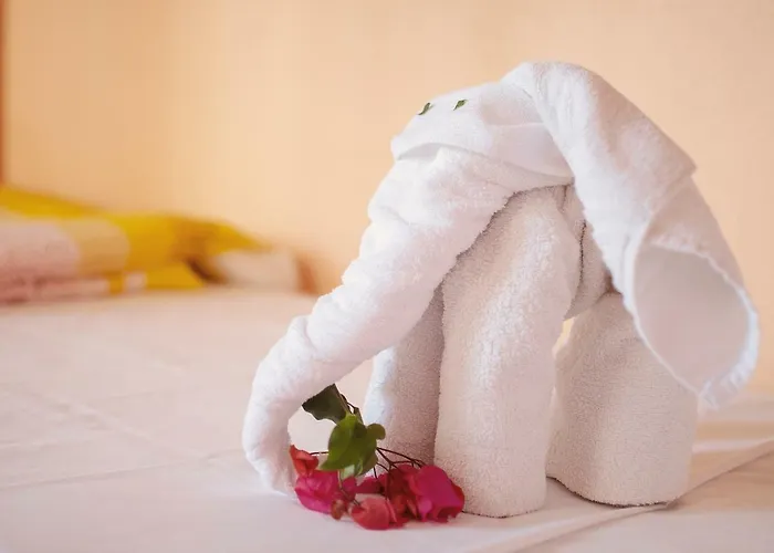 Sunlight House * Faro